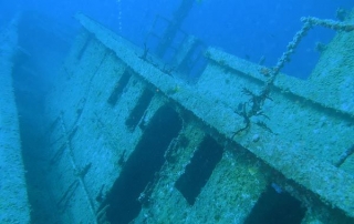  Diving among the wrecks 